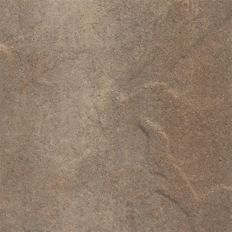 Brandy Oak